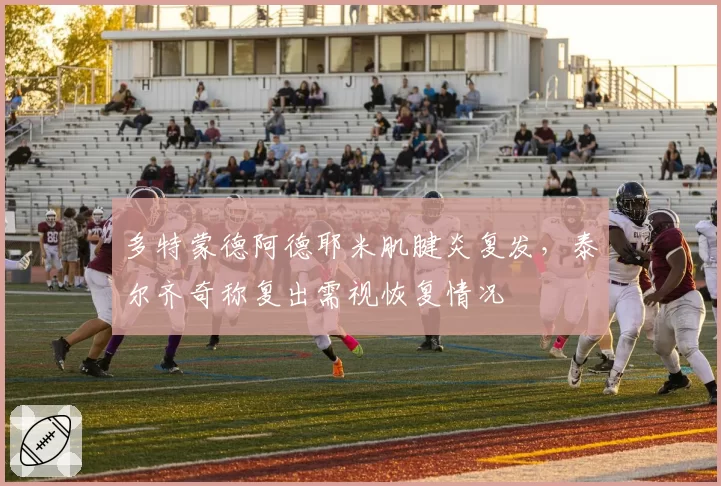 多特蒙德阿德耶米肌腱炎复发,泰尔齐奇称复出需视恢复情况